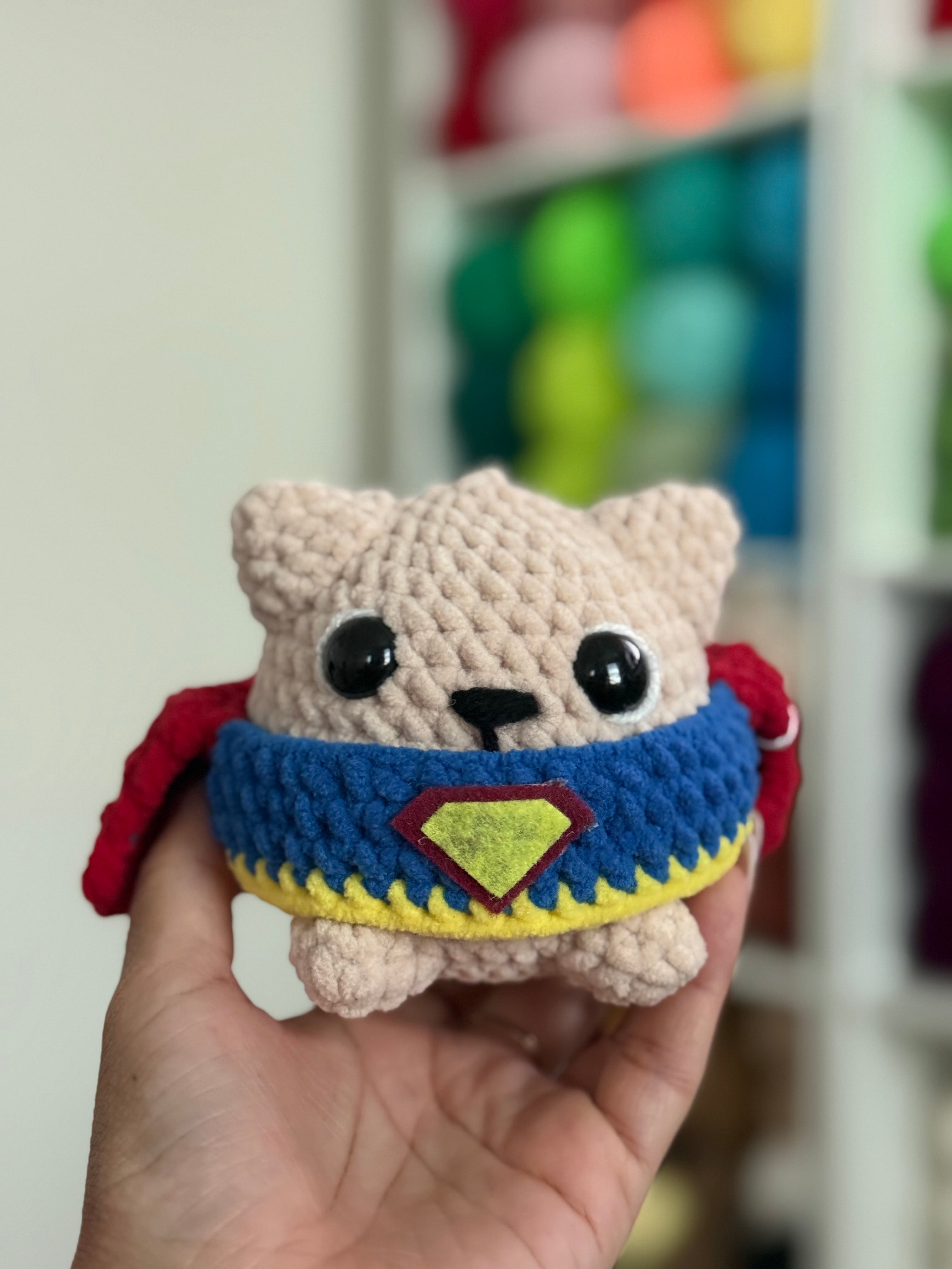 READY TO SHIP- Superhero Cat