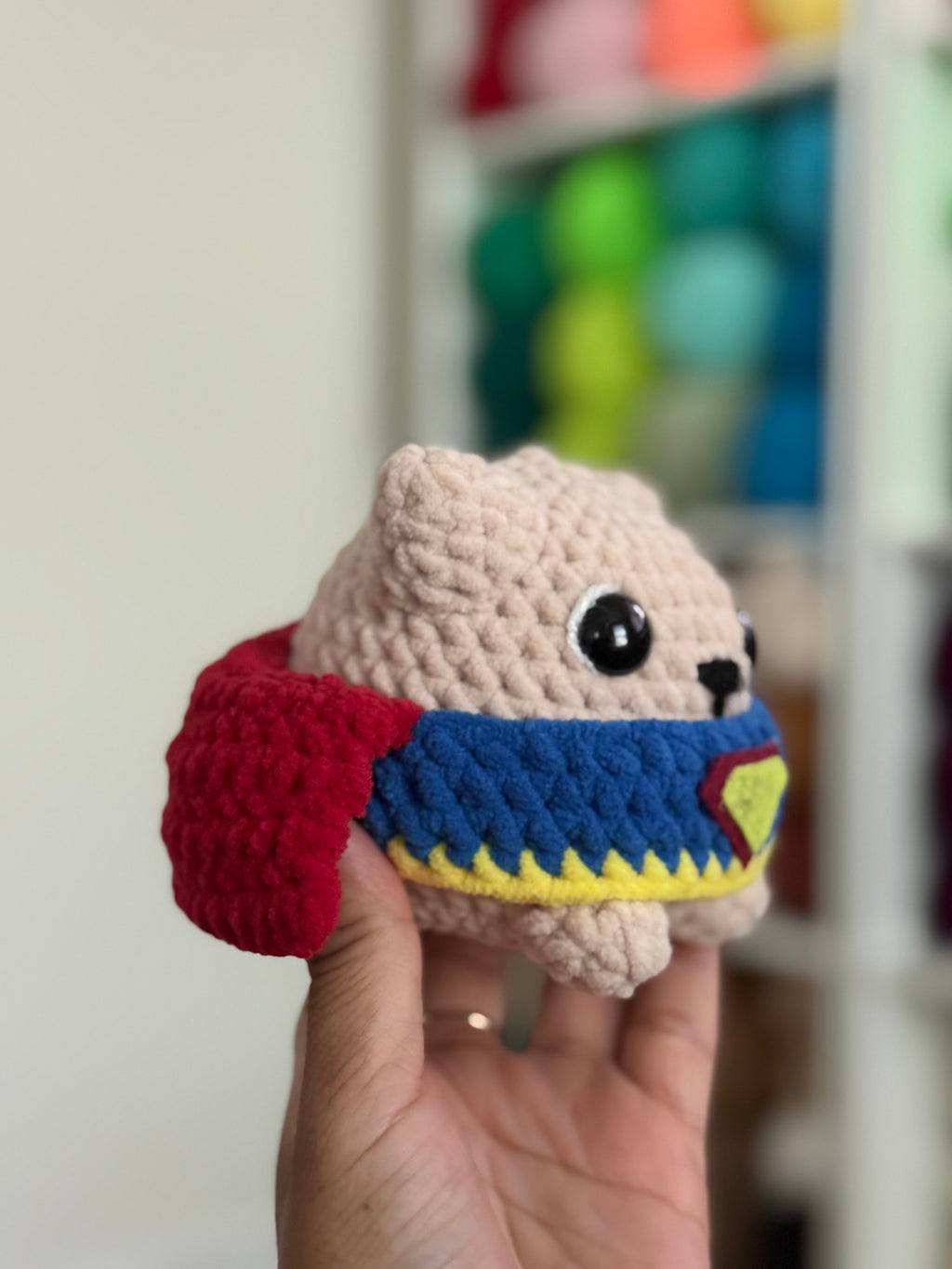 READY TO SHIP- Superhero Cat